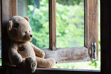 45654920 - teddy bear sit and waiting at  the window.