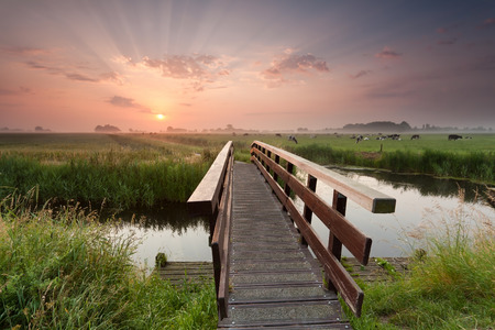 43970359 - beautiful sunrise over bike bridge in farmland, netherlands