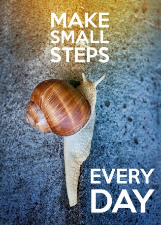 Small Daily Steps