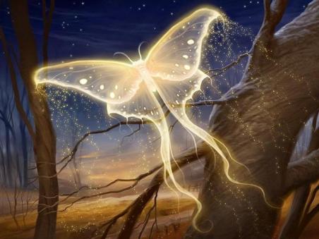Butterfly Fire