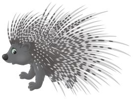 23291225 - porcupine